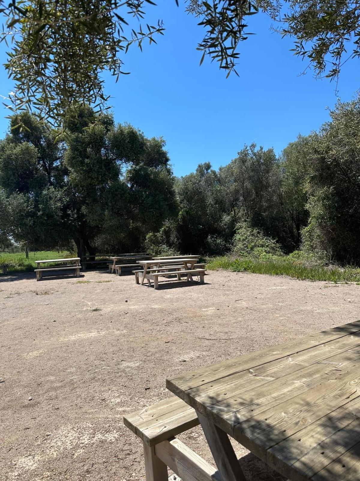 Willa Duplex, Piscina Y Playa La Pobla de Farnals Zewnętrze zdjęcie